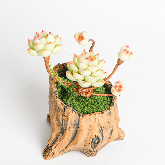 Galagaga Handmade Artificial Succulent  B003