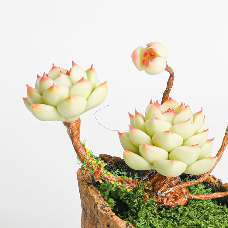 Galagaga Handmade Artificial Succulent  B003