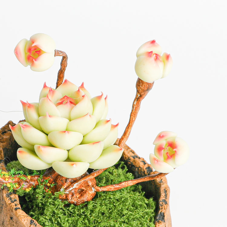 Galagaga Handmade Artificial Succulent  B003