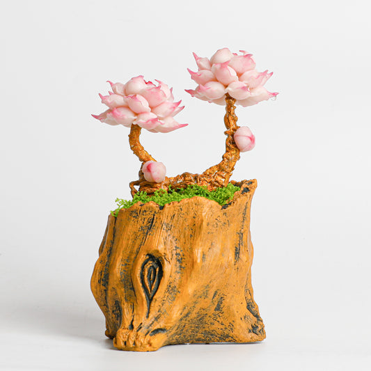 Galagaga Handmade Artificial Succulent B002