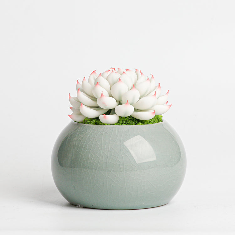 Galagaga Handmade Artificial Succulent  D001