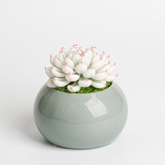 Galagaga Handmade Artificial Succulent  D001