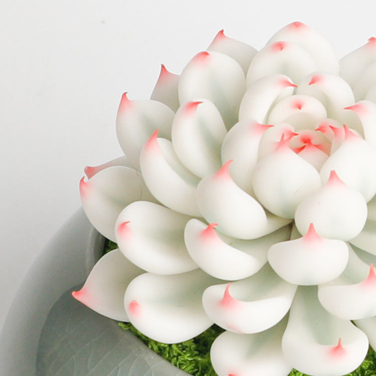 Galagaga Handmade Artificial Succulent  D001