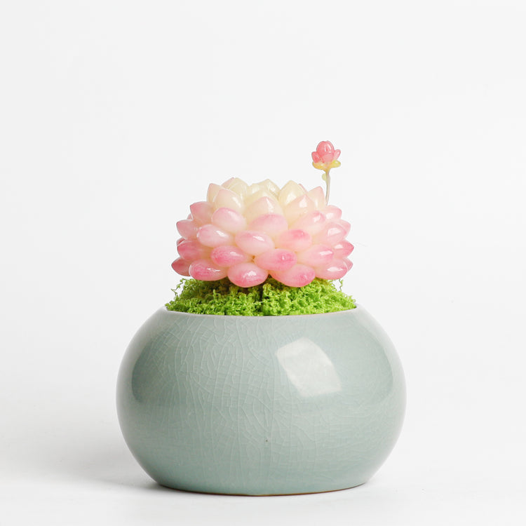 Galagaga Handmade Artificial Succulent  D006