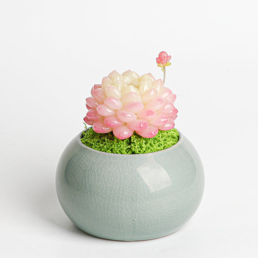 Galagaga Handmade Artificial Succulent  D006