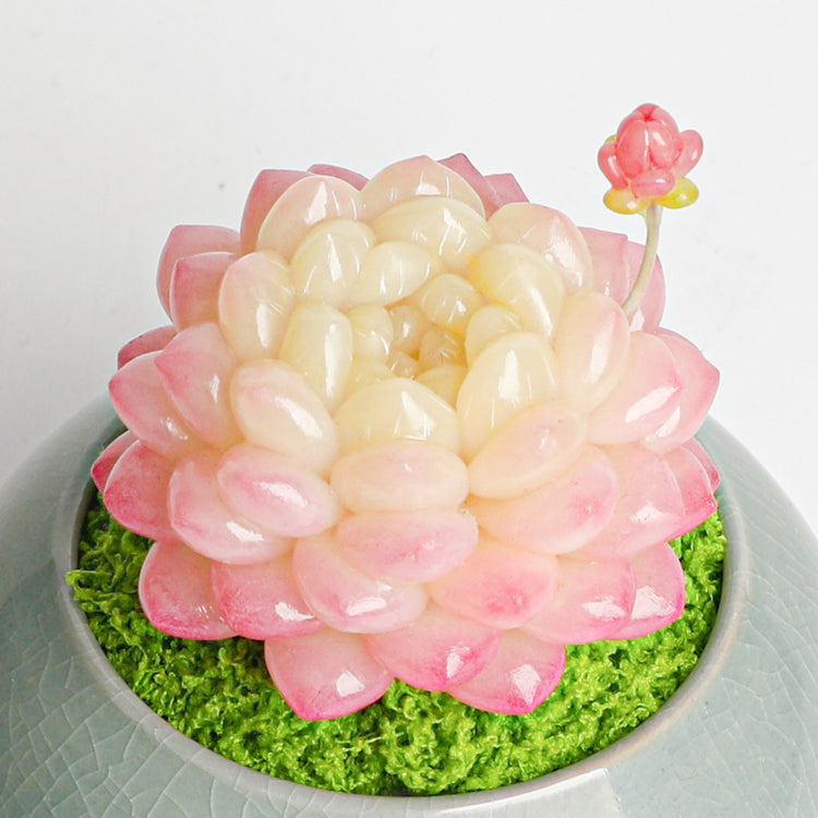 Galagaga Handmade Artificial Succulent  D006