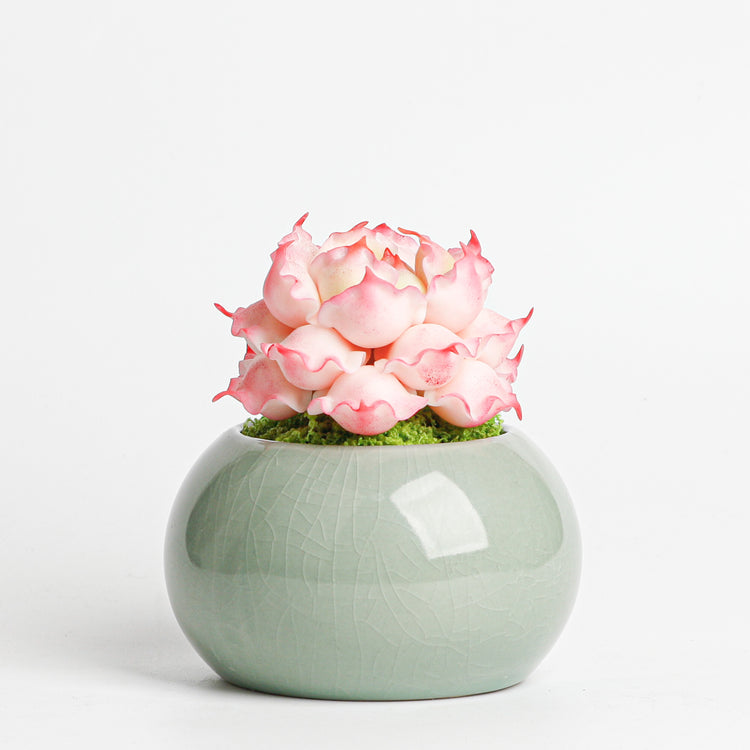 Galagaga Handmade Artificial Succulent  D005