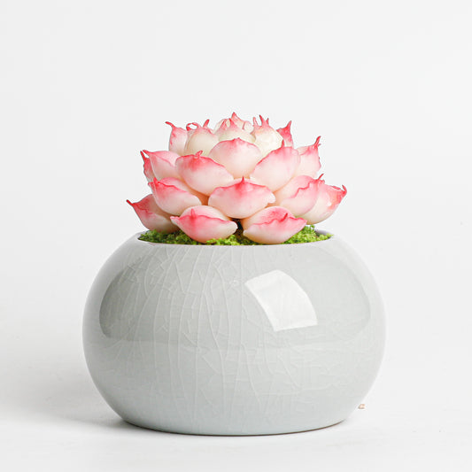 Galagaga Handmade Artificial Succulent D003