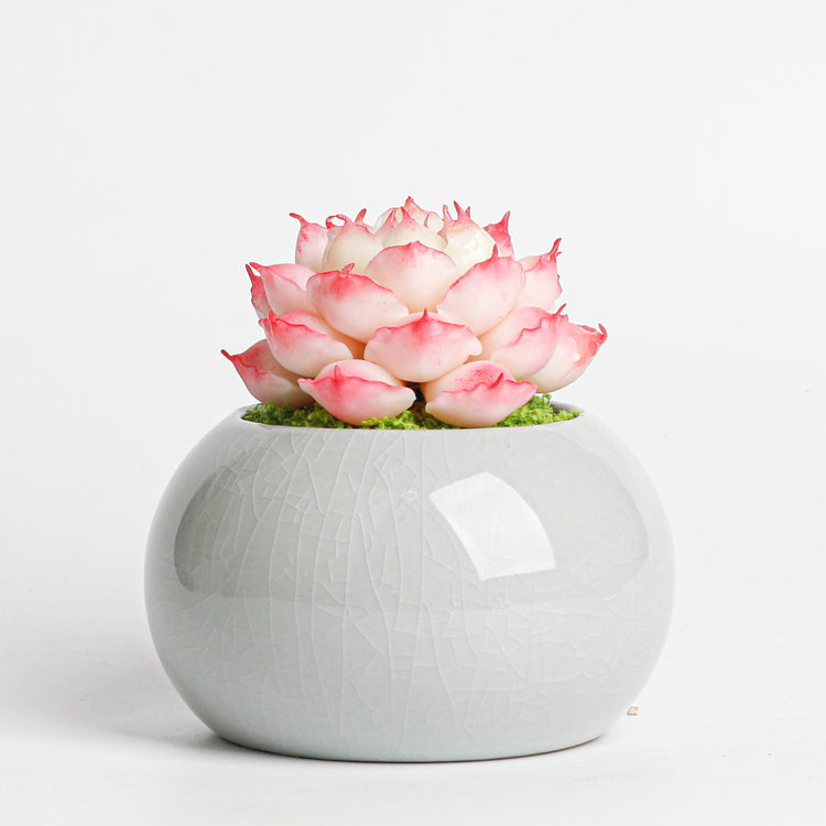 Galagaga Handmade Artificial Succulent  D003