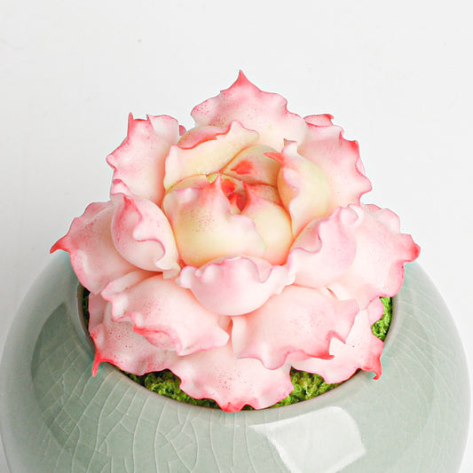 Galagaga Handmade Artificial Succulent  D005