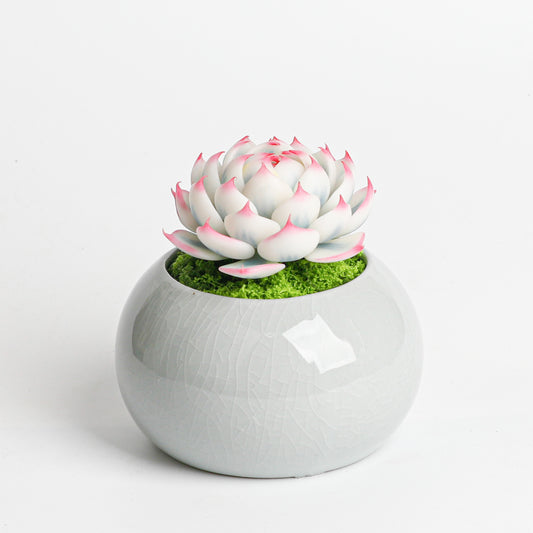 Galagaga Handmade Artificial Succulent  D002