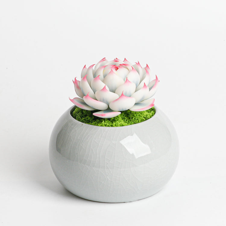 Galagaga Handmade Artificial Succulent  D002
