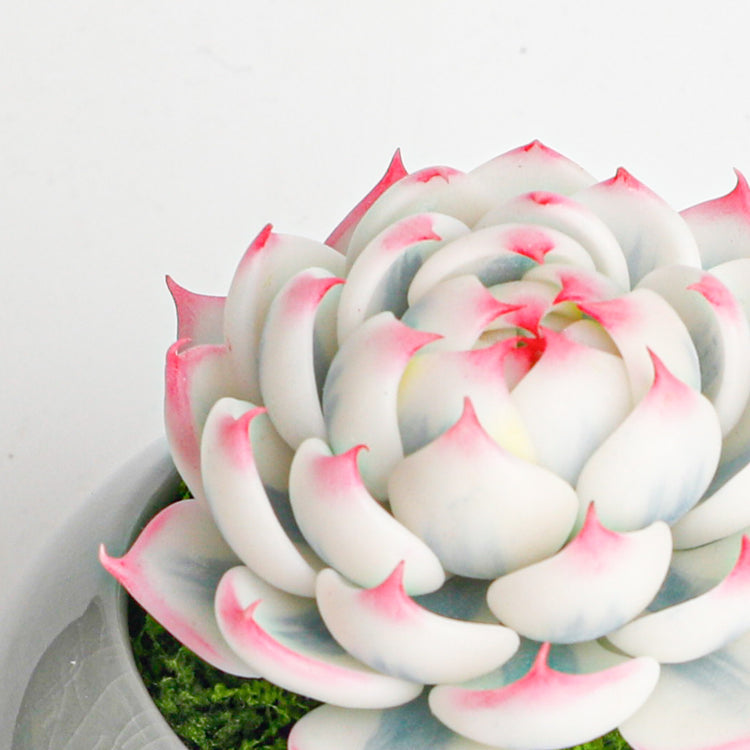 Galagaga Handmade Artificial Succulent  D002