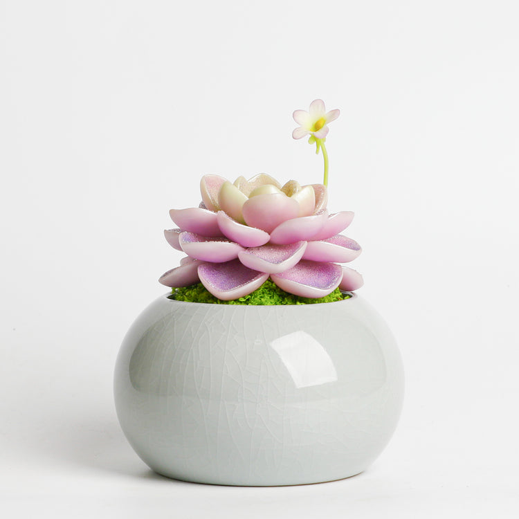 Galagaga Handmade Artificial Succulent  D004