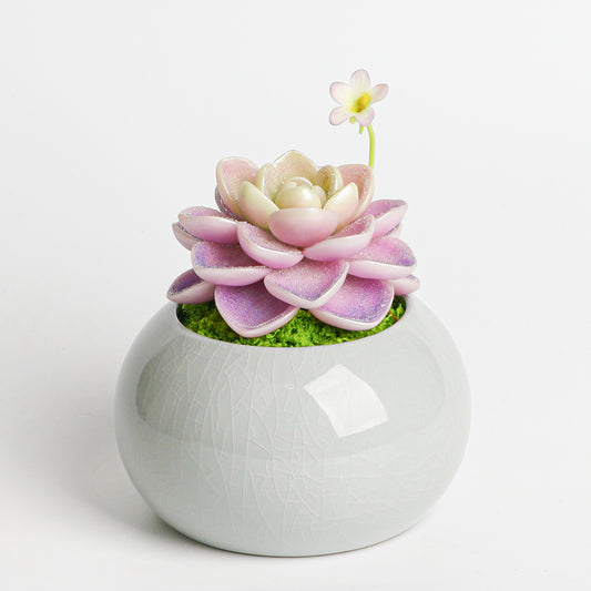 Galagaga Handmade Artificial Succulent  D004