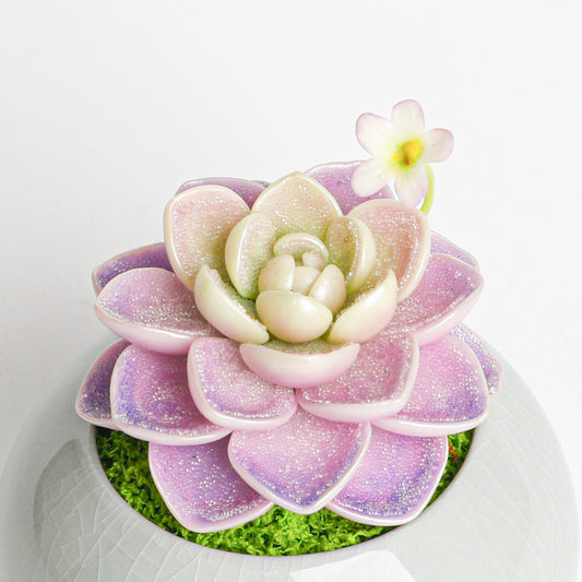 Galagaga Handmade Artificial Succulent  D004