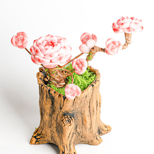 Handmade clay Succulent B008 - Handmade  by Galagaga Studio - clay succulent