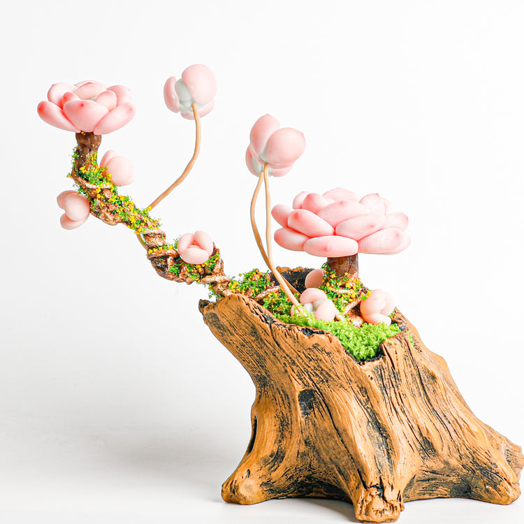 Handmade clay Succulent B009 - Handcrafted  image 4 - clay succulent