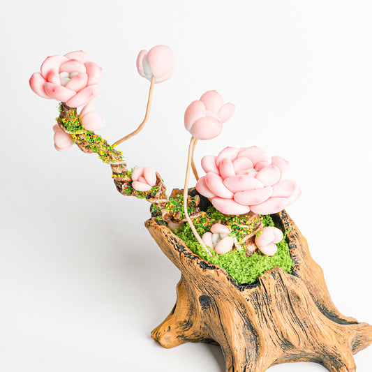 Handmade clay Succulent B009 - Handmade  by Galagaga Studio - clay succulent