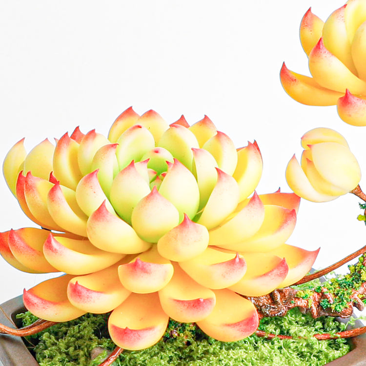 Handmade clay Succulent B010 - Close-up of unique  design - clay succulent