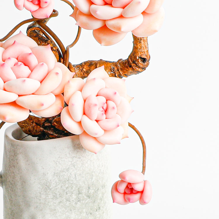 Handmade clay Succulent E03 - Handcrafted  image 5 - clay succulent