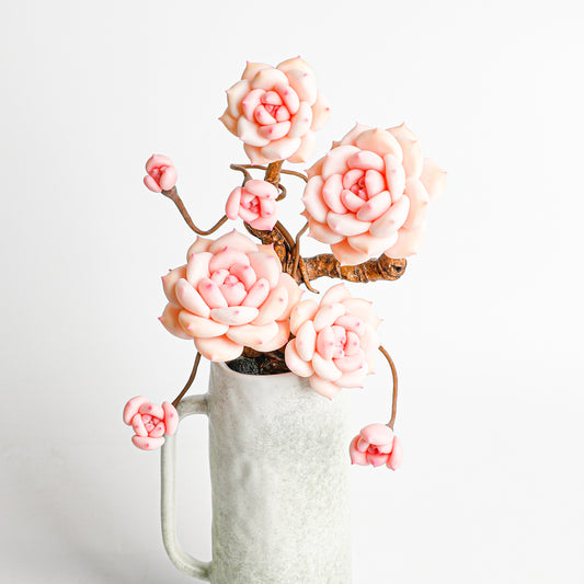 Handmade clay Succulent E03 - Handmade  by Galagaga Studio - clay succulent