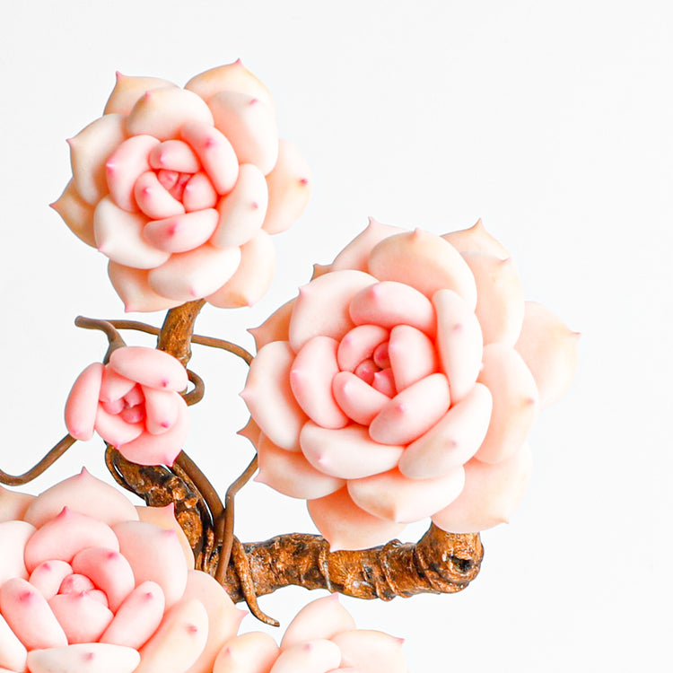 Handmade clay Succulent E03 - Handcrafted  image 4 - clay succulent