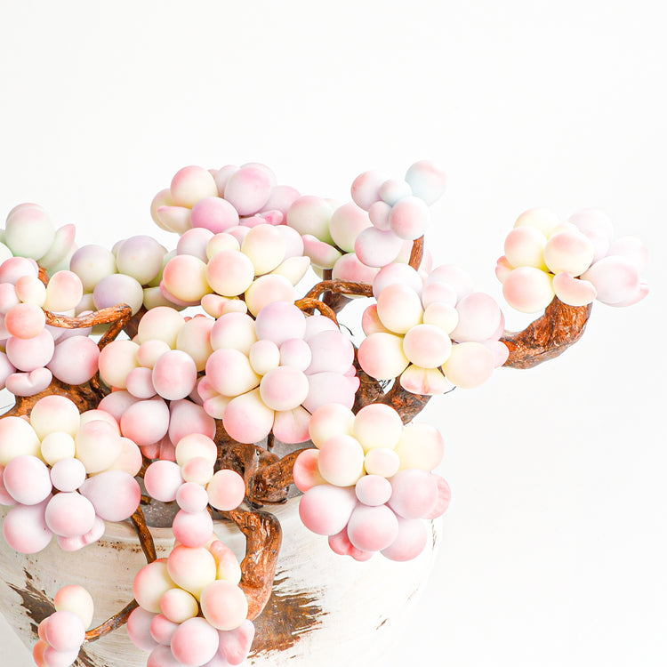 Handmade clay Succulent E04 - Close-up of unique  design - clay succulent