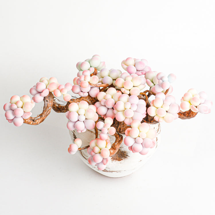 Handmade clay Succulent E04 - Handmade  by Galagaga Studio - clay succulent