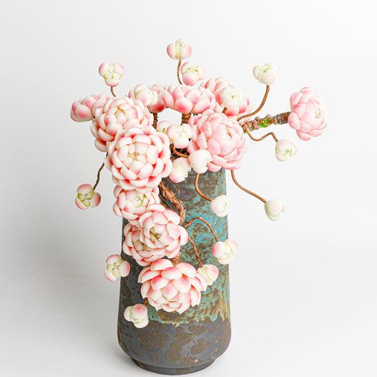 Handmade clay Succulent E012 - Handmade  by Galagaga Studio - clay succulent