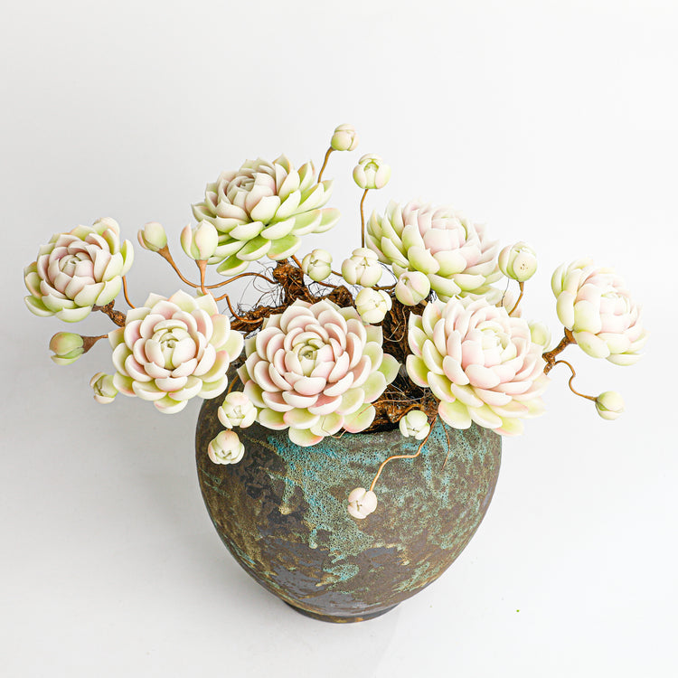 Handmade clay Succulent E013 - Handcrafted  image 5 - clay succulent