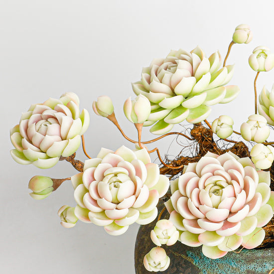 Handmade clay Succulent E013 - Handcrafted  image 4 - clay succulent