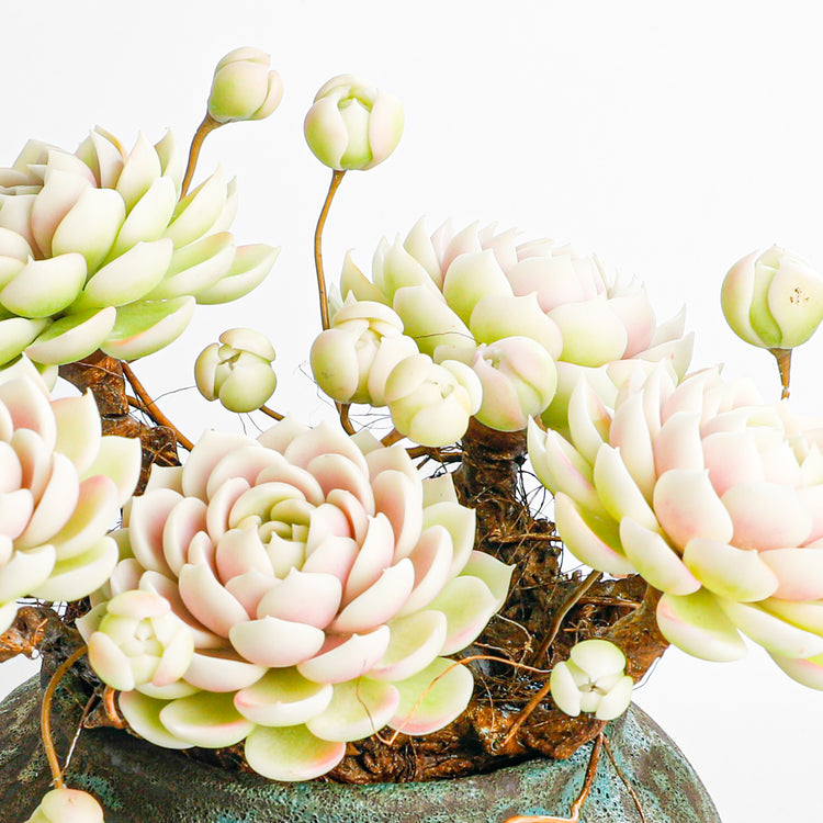 Handmade clay Succulent E013 - Close-up of unique  design - clay succulent