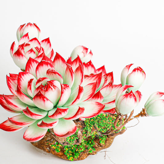 Handmade clay Succulent E007 - Handmade by Galagaga Studio - clay succulent