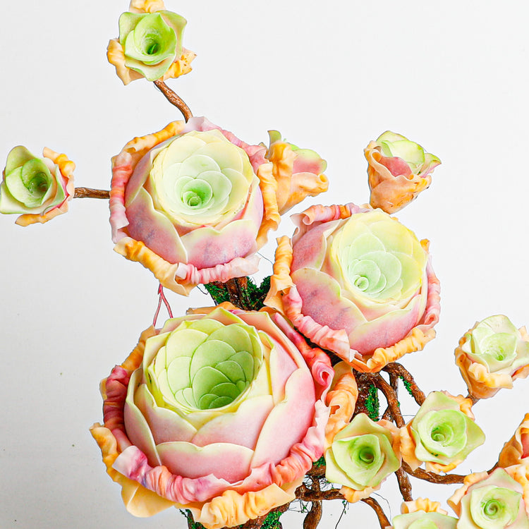 Handmade clay Succulent E009 - Close-up of unique  design - clay succulent