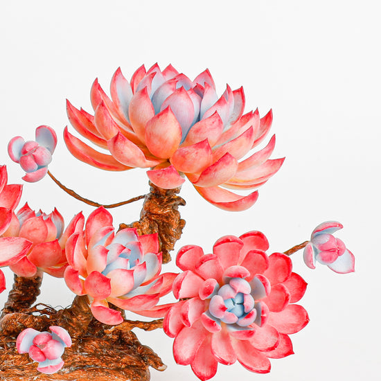 Handmade clay Succulent E008 - Handcrafted  image 5 - clay succulent