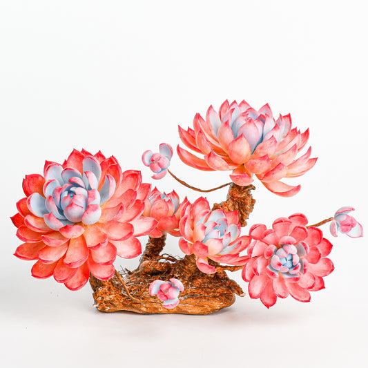 Handmade clay Succulent E008 - Handmade by Galagaga Studio - clay succulent