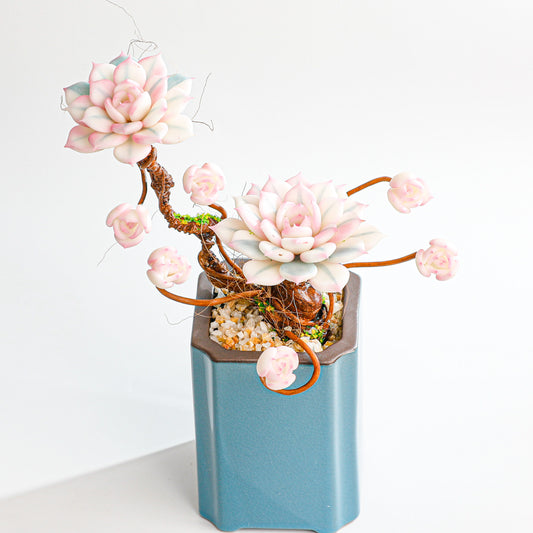 Handmade clay Succulent E010 - Handmade  by Galagaga Studio - clay succulent