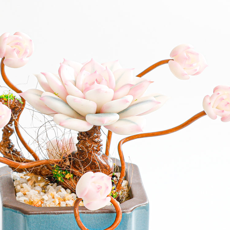 Handmade clay Succulent E010 - Close-up of unique  design - clay succulent