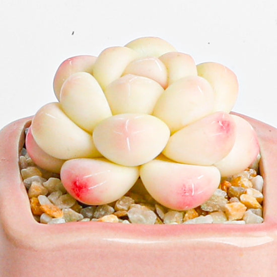 Handmade clay Succulent A015 - Handcrafted  image 4 - clay succulent