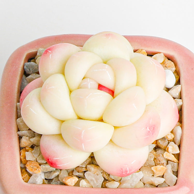Handmade clay Succulent A015 - clay succulent plant - Artisan-quality craft - limited edition handmade piece