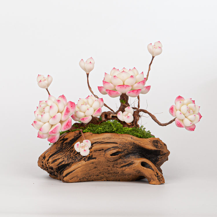 Artificial Succulent Bonsai Arrangement B016