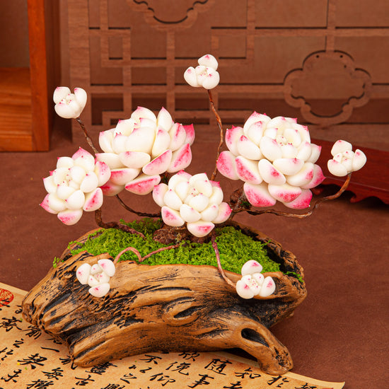 Artificial Succulent Bonsai Arrangement B017 – detail view 2
