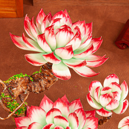 Handmade Clay Succulent Plant W005 – detail view 6