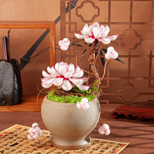 Artificial Succulent Bonsai Arrangement B019