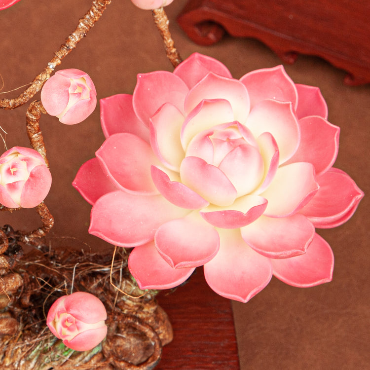Handmade Clay Succulent Plant Sculpture W007