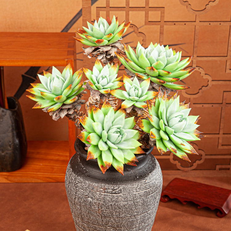 Artificial Succulent Plant Arrangement G002