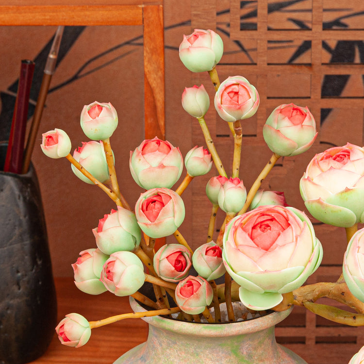 Artificial Succulent Plant Arrangement G001