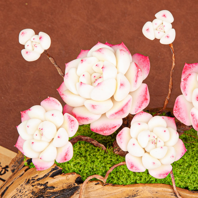Artificial Succulent Bonsai Arrangement B017 – detail view 3
