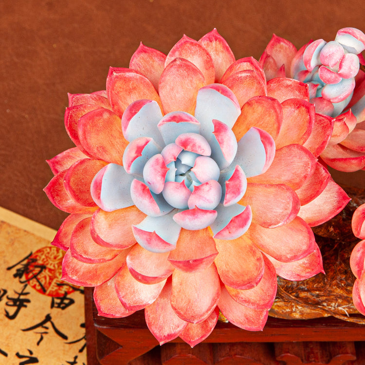 Handmade Clay Succulent Plant W004